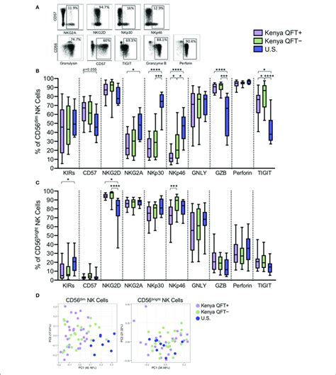 CD56 Dim NK Cells Exhibit Distinct Phenotypes In Kenyan And U S