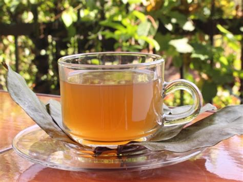 Soursop Tea Benefits How To Make And Side Effects Organic Facts