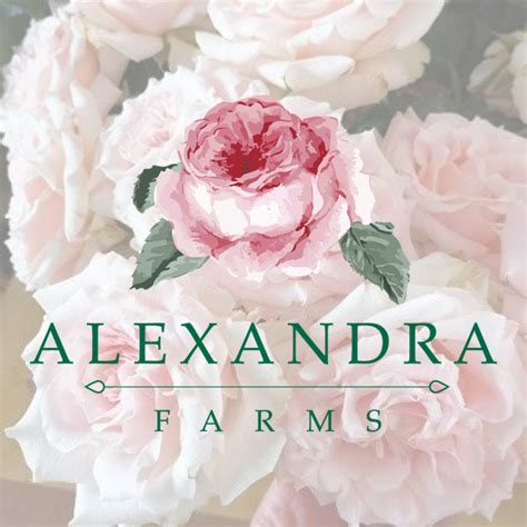 Alexandra Roses Winners Announced