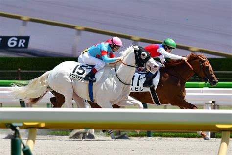 新馬戦回顧 白毛馬アマンテビアンコらが勝ち上がり！ メイクデビューの勝者たち2023年6月17日 ウマフリ 競馬コラム＆ニュース