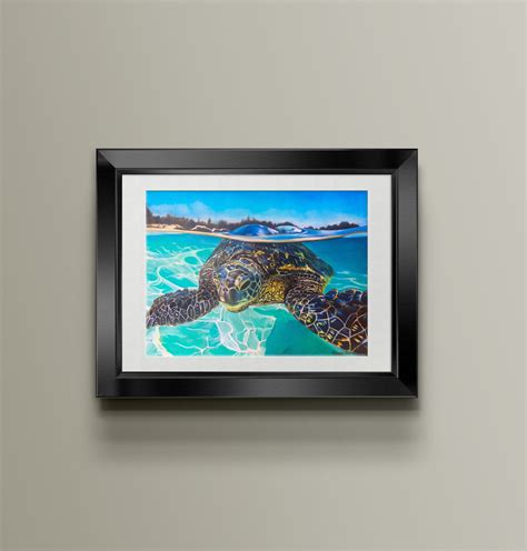 green sea turtle drawing 1