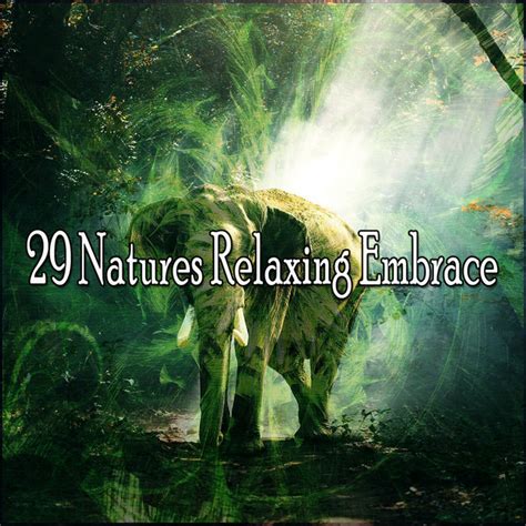 Natures Relaxing Embrace Album By Rest Relax Nature Sounds