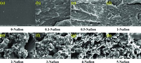 The cross-section morphology of Nafion membrane under low-power SEM. | Download Scientific Diagram