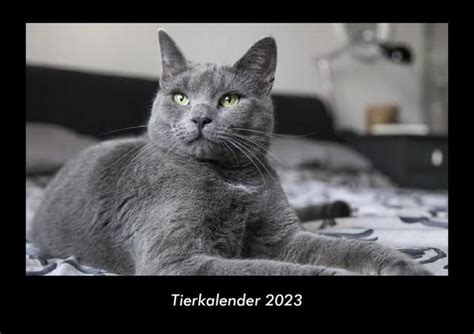 Tierkalender Fotokalender Din A Fotokalender Tiere Fotos