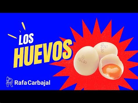 Todo Lo Que Debes Saber Sobre Los Huevos De Serpiente Informaci N