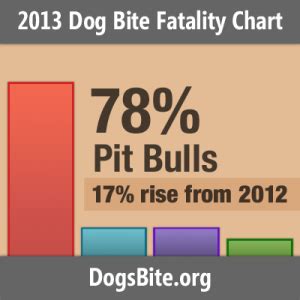 2013 Dog Bite Statistics Show Rise in Certain Dog Attacks - Virginia ...