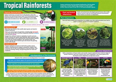 Tropical Rainforests Poster Geography Posters Geography Charts For