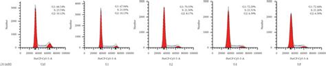 Effects Of UA Treatment On TSPC Viability And Survival Characteristics