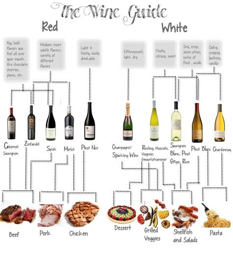 Wine guide, Wine food pairing, Wine recipes