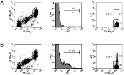 Figure From Plasmodium Yoelii Yoelii Xnl Constitutively Expressing