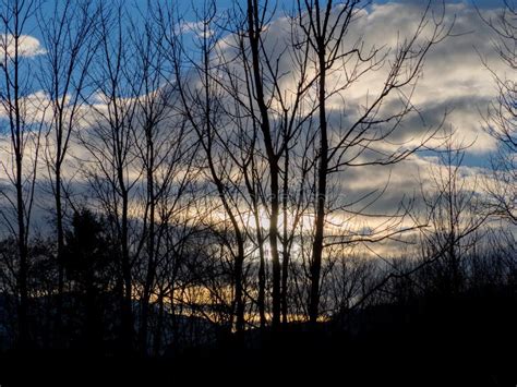 Silhouette Trees and Sky with Clouds Stock Photo - Image of forest, fall: 164897522