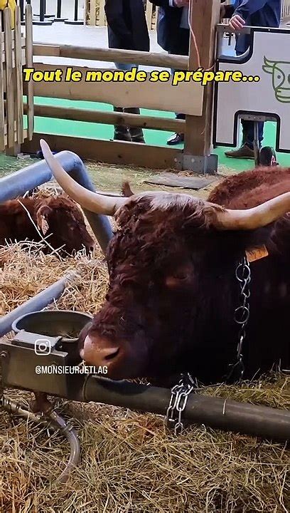 Découvrez les coulisses du salon de l agriculture à la porte de