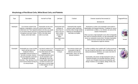 Copy of Morphology of Blood Cells - Morphology of Red Blood Cells ...