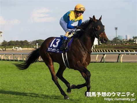 【うわさの2歳馬】祖母に名牝エアヴルーヴ～レッドモンレーヴ｜競馬ニュース｜競馬予想のウマニティ