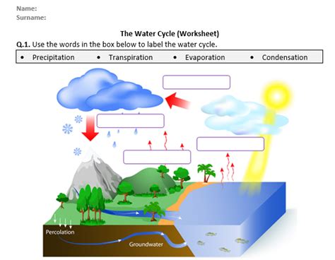 The Water Cycle Worksheet Distance Learning Teaching Resources