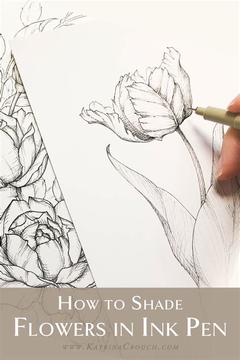 drawing flowers  pencil