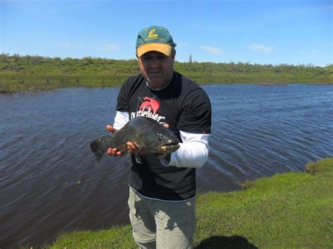 Pescador Del Sur Primeras Pescas De Las Tarariras Tornasol