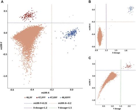 One In 500 Men Carry Extra Sex Chromosome Putting Them At Higher Risk Of Several Common Diseases