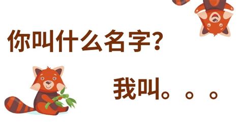 你叫什么名字？