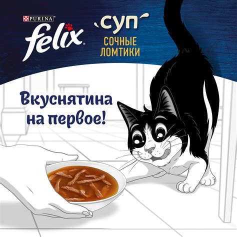 Корм для кошек Felix 48г с индейкой сочные ломтики купить по цене 23 ...