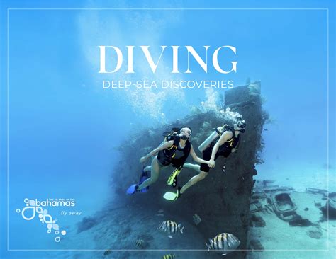 Bahamas Specialist Program