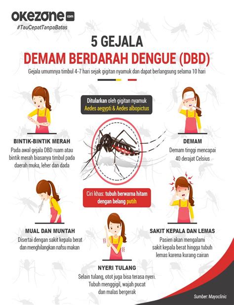 Gejala Demam Berdarah Dengue Adalah - Jenis demam berdarah ini adalah yang paling parah ...