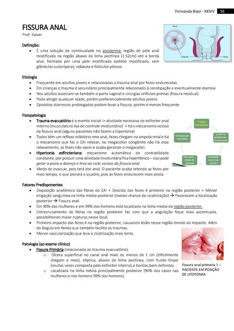 Aula 7 Fissura Anal Resumo Sistema Digestivo Fernanda Biasi 56