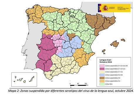 ¿cuáles Son Las Comarcas De Salamanca Con Movimiento De Ganado Suspendido Por La Lengua Azul Y