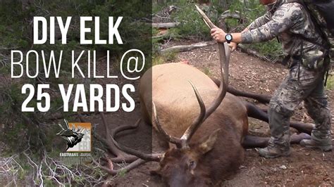 Archery Elk At Yards Bowhunting Public Land Elk Diy Youtube