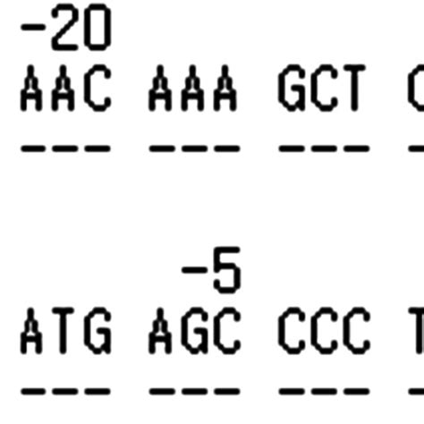 Alignment Of The Exon 1 Sequence Of DQA1 01 01 09 With The Sequence Of