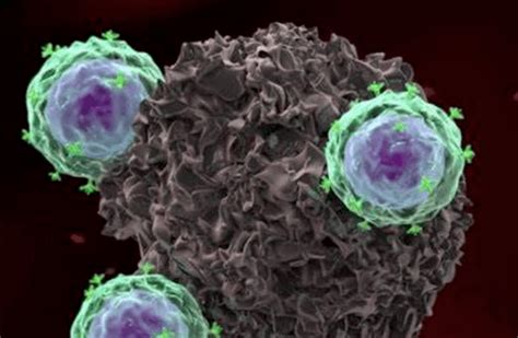 Cancer Cell Car T