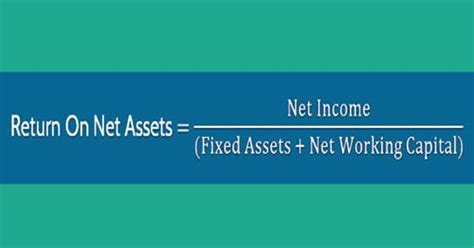 Return On Net Assets Assignment Point