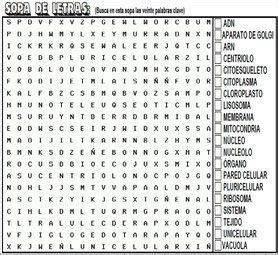 Resultado De Imagen Para Sopa De Letra De Ciencias Naturales Sopa De