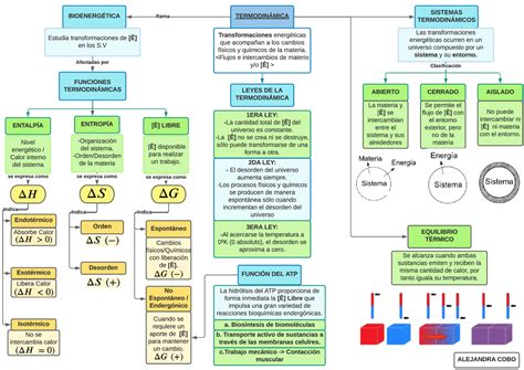 Mapa Conceptual De Las Leyes De La Termodinamica Sexiz Pix