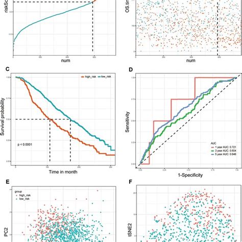 Prognostic Analysis Of The 10 Ferroptosis Related Gene Signature Model