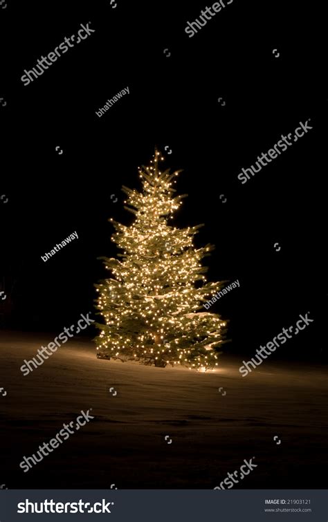 4,134 Christmas Tree Lit Up Images, Stock Photos & Vectors | Shutterstock