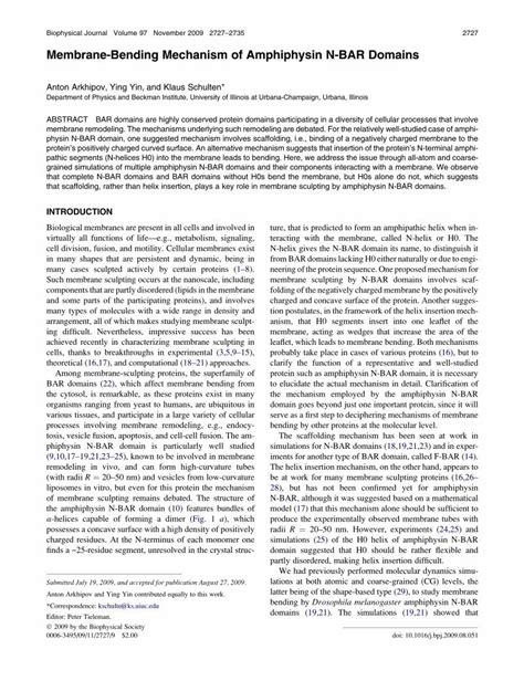 PDF Membrane Bending Mechanism Of Amphiphysin N BAR Domains DOKUMEN