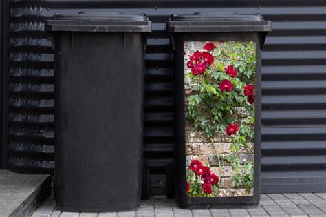 Container Sticker Klimplant Met Rode Bloemen Op Een Stenen Muur 38x80