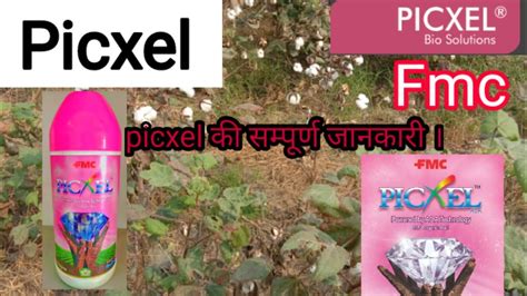 Picxel FMC - YouTube