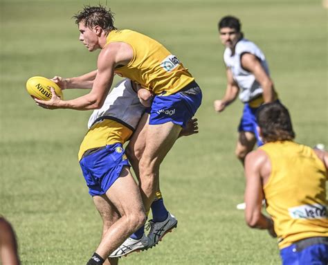 Training Preseason Training Thread 2024 Page 80 BigFooty Forum