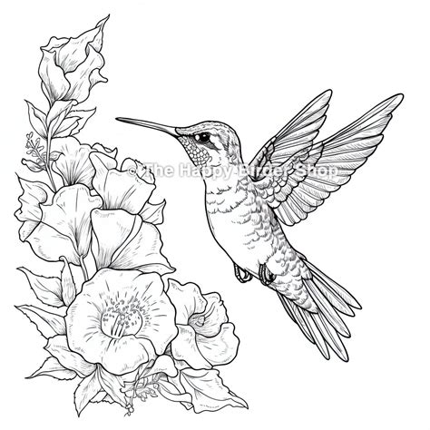 Realistic Hummingbird Coloring Page Bird Sheets Sketch Coloring Page