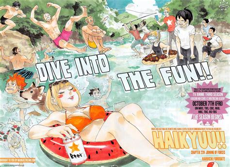 Haikyuu Beach Official Art Buffalohidepaintingsymbols