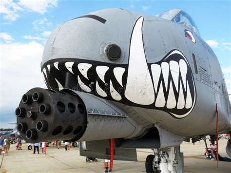 A 10 Warthog Gun Tanks