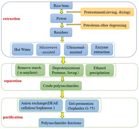 Foods Free Full Text Extraction Structural Characterization Biological Functions And