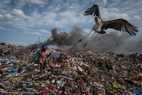 Inundamos Al Mundo De Basura ¿y Ahora Qué Greenpeace Chile