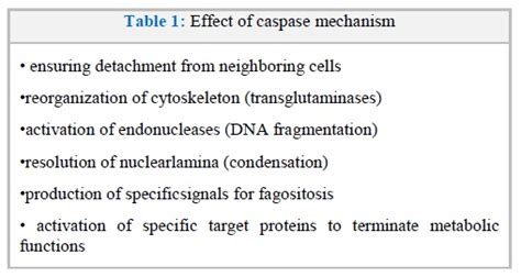 Trauma Induced Apoptosis Of Endothelial Cells