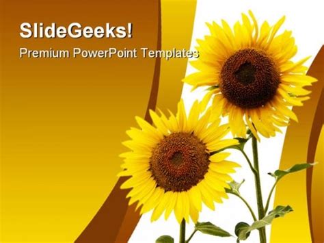 Sunflowers Beauty Nature Powerpoint Template 1110 Powerpoint Templates