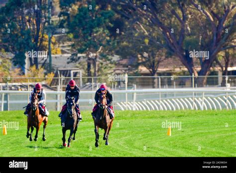 Racing Melbourne Cup Hi Res Stock Photography And Images Alamy