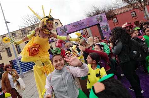 FOTOS Carnaval Inclusivo En La Laguna