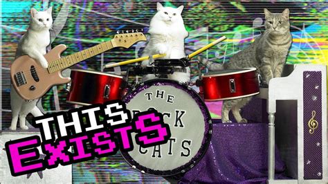 Cats Play In All Cat Band Youtube